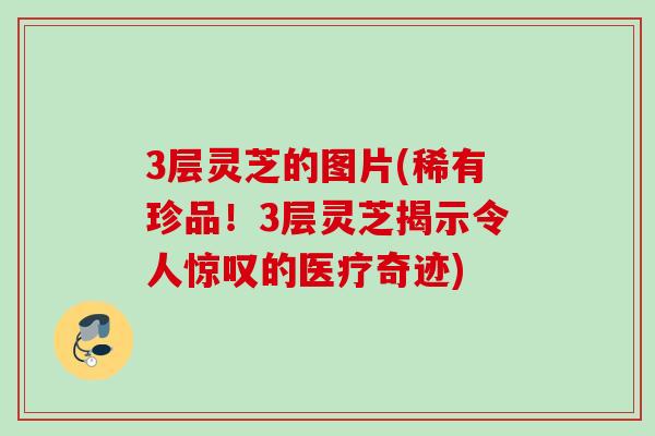 3层灵芝的图片(稀有珍品！3层灵芝揭示令人惊叹的医疗奇迹)