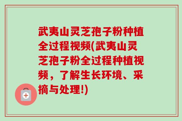 武夷山灵芝孢子粉种植全过程视频(武夷山灵芝孢子粉全过程种植视频，了解生长环境、采摘与处理!)