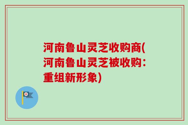 河南鲁山灵芝收购商(河南鲁山灵芝被收购：重组新形象)
