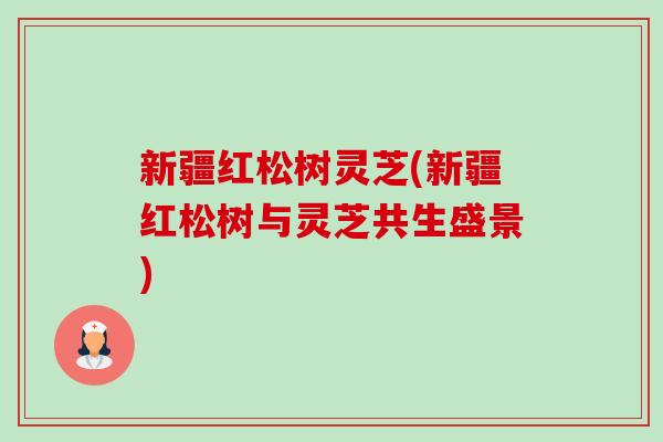 新疆红松树灵芝(新疆红松树与灵芝共生盛景) 新疆红松树灵芝(新疆红松树与灵芝共生盛景)