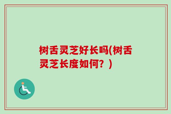 树舌灵芝好长吗(树舌灵芝长度如何?) 树舌灵芝好长吗(树舌灵芝长度如何?)