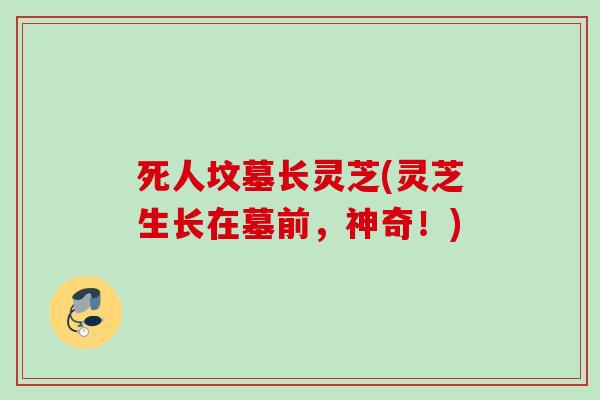 死人坟墓长灵芝(灵芝生长在墓前,神奇!) 死人坟墓长灵芝(灵芝生长在墓前,神奇!)