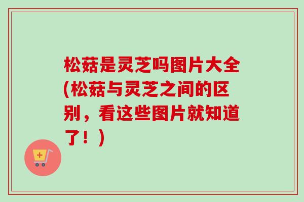 松菇是灵芝吗图片大全(松菇与灵芝之间的区别,看这些图片就知道了!) 松菇是灵芝吗图片大全(松菇与灵芝之间的区别,看这些图片就知道了!)