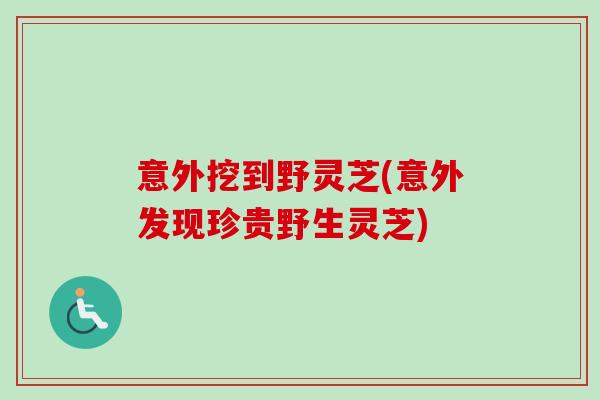 意外挖到野灵芝(意外发现珍贵野生灵芝) 意外挖到野灵芝(意外发现珍贵野生灵芝)