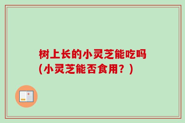 树上长的小灵芝能吃吗(小灵芝能否食用？)