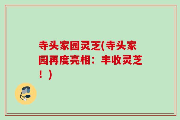 寺头家园灵芝(寺头家园再度亮相：丰收灵芝！)