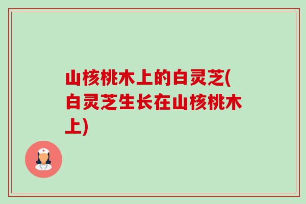 山核桃木上的白灵芝(白灵芝生长在山核桃木上) 山核桃木上的白灵芝(白灵芝生长在山核桃木上)