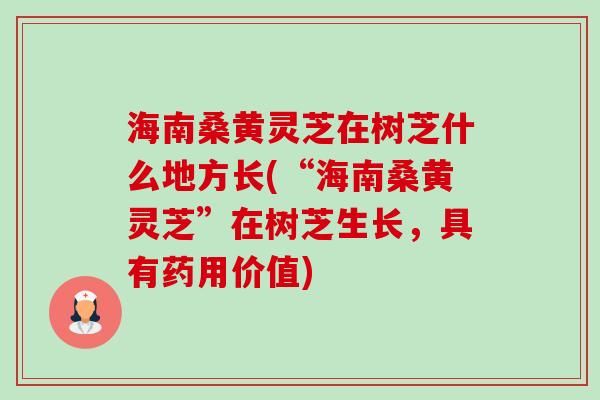 海南桑黄灵芝在树芝什么地方长(“海南桑黄灵芝”在树芝生长，具有药用价值)