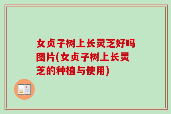 女贞子树上长灵芝好吗图片(女贞子树上长灵芝的种植与使用) 女贞子树上长灵芝好吗图片(女贞子树上长灵芝的种植与使用)