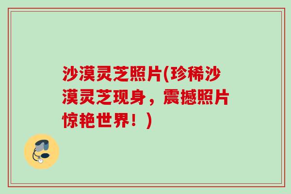 沙漠灵芝照片(珍稀沙漠灵芝现身,震撼照片惊艳世界!) 沙漠灵芝照片(珍稀沙漠灵芝现身,震撼照片惊艳世界!)