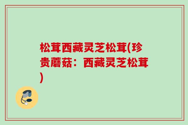 松茸西藏灵芝松茸(珍贵蘑菇:西藏灵芝松茸) 松茸西藏灵芝松茸(珍贵蘑菇:西藏灵芝松茸)