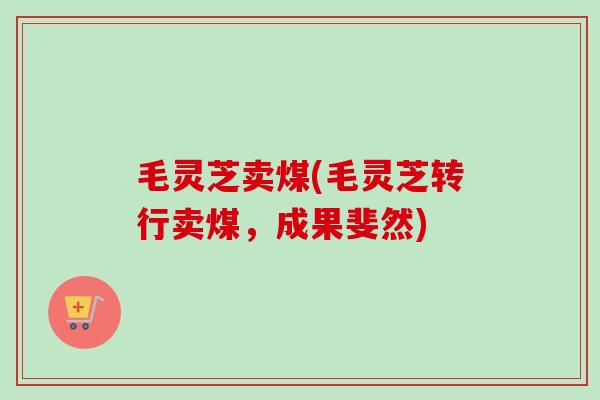 毛灵芝卖煤(毛灵芝转行卖煤，成果斐然)
