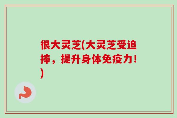 很大灵芝(大灵芝受追捧,提升身体免疫力!) 很大灵芝(大灵芝受追捧,提升身体免疫力!)