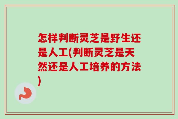 怎样判断灵芝是野生还是人工(判断灵芝是天然还是人工培养的方法)