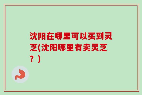 沈阳在哪里可以买到灵芝(沈阳哪里有卖灵芝?) 沈阳在哪里可以买到灵芝(沈阳哪里有卖灵芝?)