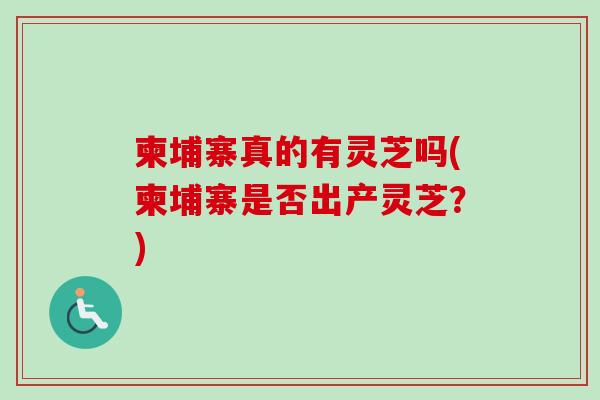柬埔寨真的有灵芝吗(柬埔寨是否出产灵芝?) 柬埔寨真的有灵芝吗(柬埔寨是否出产灵芝?)