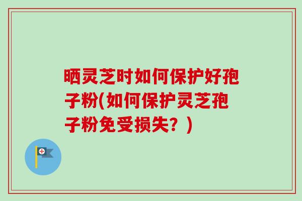 晒灵芝时如何保护好孢子粉(如何保护灵芝孢子粉免受损失?) 晒灵芝时如何保护好孢子粉(如何保护灵芝孢子粉免受损失?)