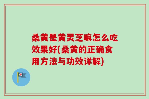 桑黄是黄灵芝嘛怎么吃效果好(桑黄的正确食用方法与功效详解) 桑黄是黄灵芝嘛怎么吃效果好(桑黄的正确食用方法与功效详解)