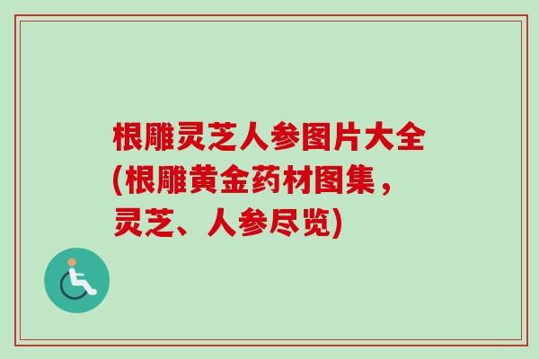 根雕灵芝人参图片大全(根雕黄金药材图集，灵芝、人参尽览)