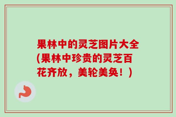 果林中的灵芝图片大全(果林中珍贵的灵芝百花齐放,美轮美奂!) 果林中的灵芝图片大全(果林中珍贵的灵芝百花齐放,美轮美奂!)