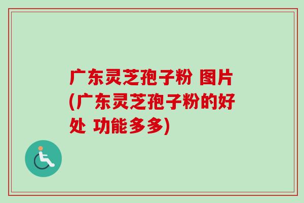 广东灵芝孢子粉 图片(广东灵芝孢子粉的好处 功能多多)