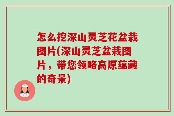怎么挖深山灵芝花盆栽图片(深山灵芝盆栽图片，带您领略高原蕴藏的奇景)