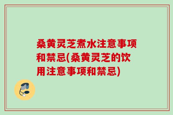 桑黄灵芝煮水注意事项和禁忌(桑黄灵芝的饮用注意事项和禁忌) 桑黄灵芝煮水注意事项和禁忌(桑黄灵芝的饮用注意事项和禁忌)