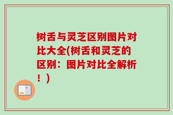 树舌与灵芝区别图片对比大全(树舌和灵芝的区别:图片对比全解析!) 树舌与灵芝区别图片对比大全(树舌和灵芝的区别:图片对比全解析!)