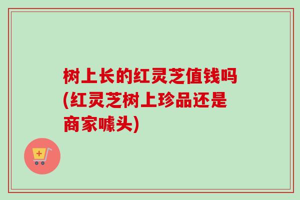 树上长的红灵芝值钱吗(红灵芝树上珍品还是商家噱头) 树上长的红灵芝值钱吗(红灵芝树上珍品还是商家噱头)