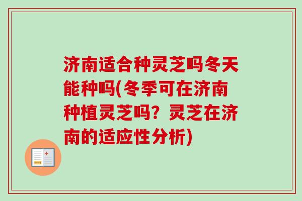 济南适合种灵芝吗冬天能种吗(冬季可在济南种植灵芝吗？灵芝在济南的适应性分析)