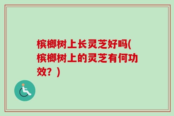 槟榔树上长灵芝好吗(槟榔树上的灵芝有何功效?) 槟榔树上长灵芝好吗(槟榔树上的灵芝有何功效?)