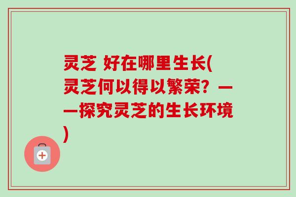 灵芝 好在哪里生长(灵芝何以得以繁荣?——探究灵芝的生长环境) 灵芝 好在哪里生长(灵芝何以得以繁荣?——探究灵芝的生长环境)