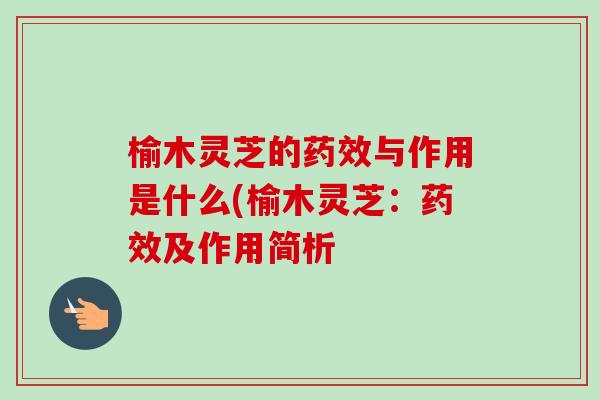 榆木灵芝的与作用是什么(榆木灵芝:及作用简析 榆木灵芝的与作用是什么(榆木灵芝:及作用简析