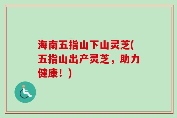 海南五指山下山灵芝(五指山出产灵芝,助力健康!) 海南五指山下山灵芝(五指山出产灵芝,助力健康!)