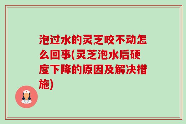 泡过水的灵芝咬不动怎么回事(灵芝泡水后硬度下降的原因及解决措施) 泡过水的灵芝咬不动怎么回事(灵芝泡水后硬度下降的原因及解决措施)