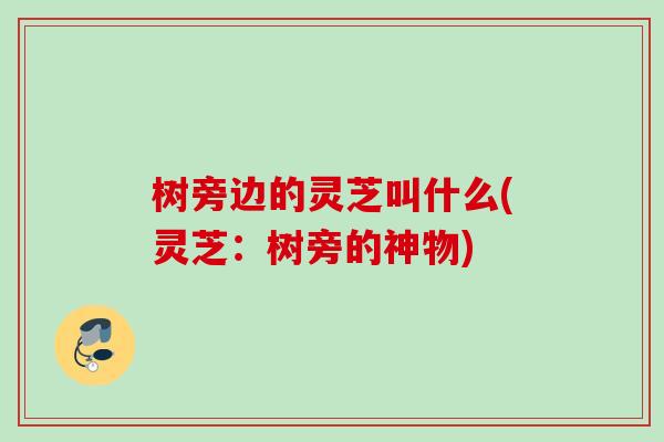 树旁边的灵芝叫什么(灵芝：树旁的神物)