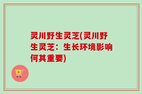 灵川野生灵芝(灵川野生灵芝:生长环境影响何其重要) 灵川野生灵芝(灵川野生灵芝:生长环境影响何其重要)