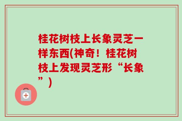 桂花树枝上长象灵芝一样东西(神奇!桂花树枝上发现灵芝形“长象”) 桂花树枝上长象灵芝一样东西(神奇!桂花树枝上发现灵芝形“长象”)