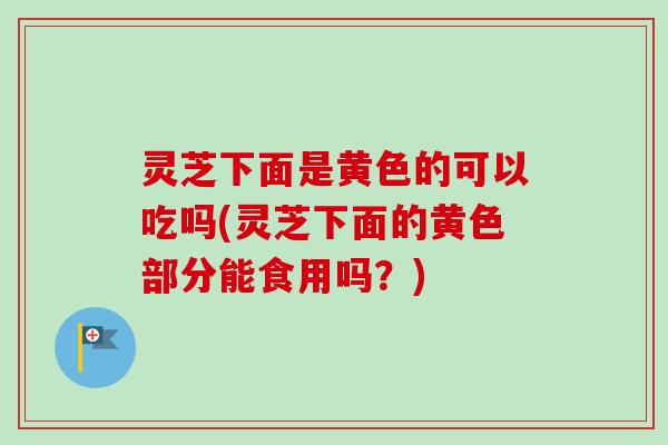 灵芝下面是黄色的可以吃吗(灵芝下面的黄色部分能食用吗?) 灵芝下面是黄色的可以吃吗(灵芝下面的黄色部分能食用吗?)