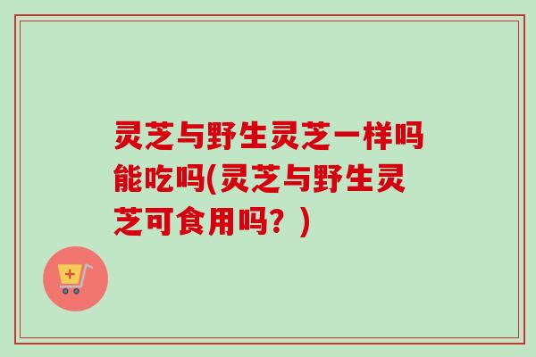 灵芝与野生灵芝一样吗能吃吗(灵芝与野生灵芝可食用吗?) 灵芝与野生灵芝一样吗能吃吗(灵芝与野生灵芝可食用吗?)