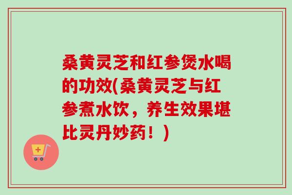桑黄灵芝和红参煲水喝的功效(桑黄灵芝与红参煮水饮,养生效果堪比灵丹妙药!) 桑黄灵芝和红参煲水喝的功效(桑黄灵芝与红参煮水饮,养生效果堪比灵丹妙药!)