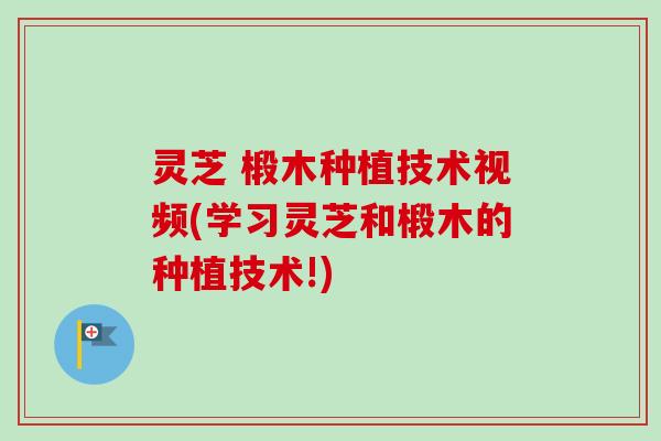 灵芝 椴木种植技术视频(学习灵芝和椴木的种植技术!) 灵芝 椴木种植技术视频(学习灵芝和椴木的种植技术!)