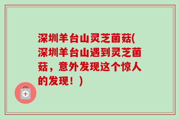 深圳羊台山灵芝菌菇(深圳羊台山遇到灵芝菌菇,意外发现这个惊人的发现!) 深圳羊台山灵芝菌菇(深圳羊台山遇到灵芝菌菇,意外发现这个惊人的发现!)