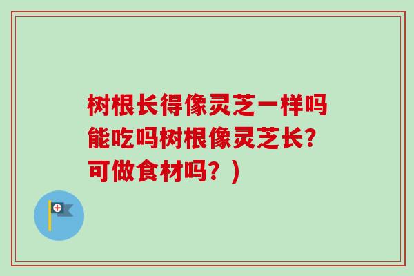 树根长得像灵芝一样吗能吃吗树根像灵芝长?可做食材吗?) 树根长得像灵芝一样吗能吃吗树根像灵芝长?可做食材吗?)