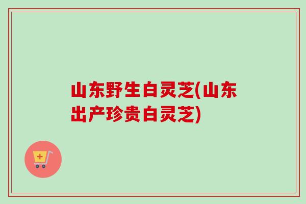 山东野生白灵芝(山东出产珍贵白灵芝)