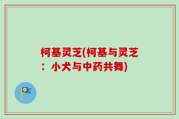 柯基灵芝(柯基与灵芝:小犬与共舞) 柯基灵芝(柯基与灵芝:小犬与共舞)