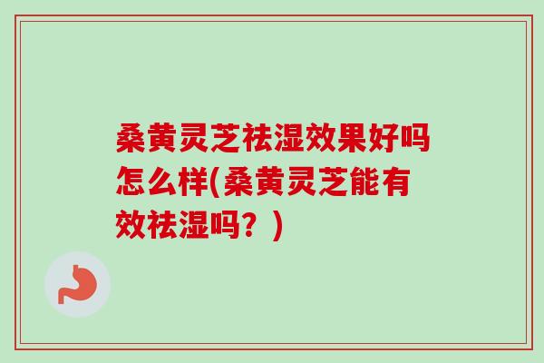桑黄灵芝祛湿效果好吗怎么样(桑黄灵芝能有效祛湿吗?) 桑黄灵芝祛湿效果好吗怎么样(桑黄灵芝能有效祛湿吗?)