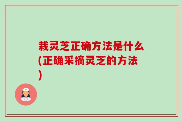 栽灵芝正确方法是什么(正确采摘灵芝的方法)