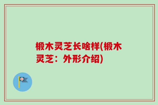 椴木灵芝长啥样(椴木灵芝:外形介绍) 椴木灵芝长啥样(椴木灵芝:外形介绍)