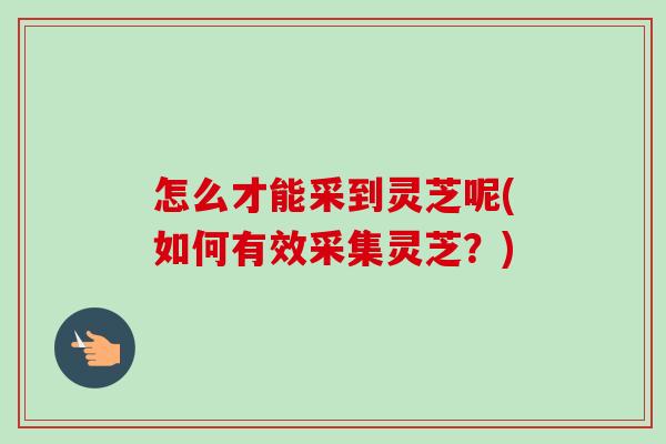 怎么才能采到灵芝呢(如何有效采集灵芝？)